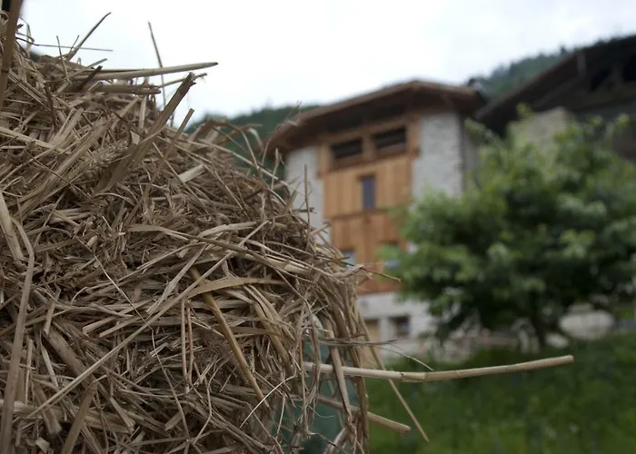 Agricampeggio Ai GaggiAgriturismo